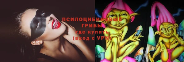 не бодяженный Алексин
