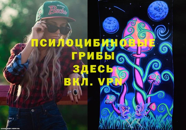 соль ск Алексеевка