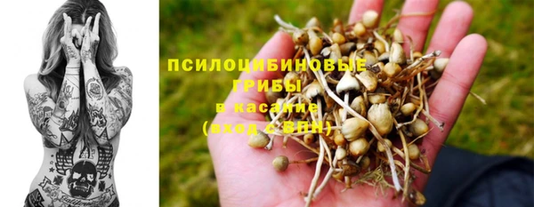соль ск Алексеевка