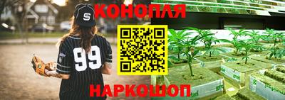 a pvp Чебоксары